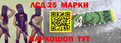 mdpv Ярославль