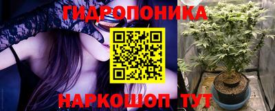 mdpv Ярославль