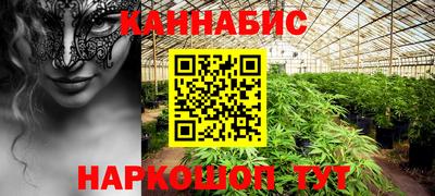 mdpv Ярославль