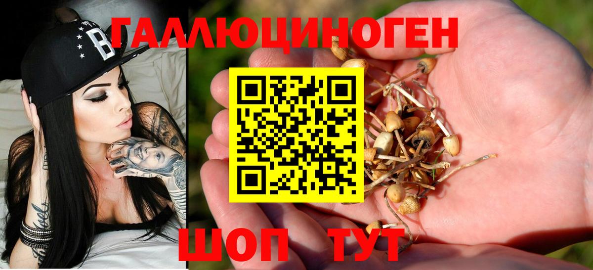 Галлюциногенные грибы Cubensis  Вход с VPN  Борисоглебск 