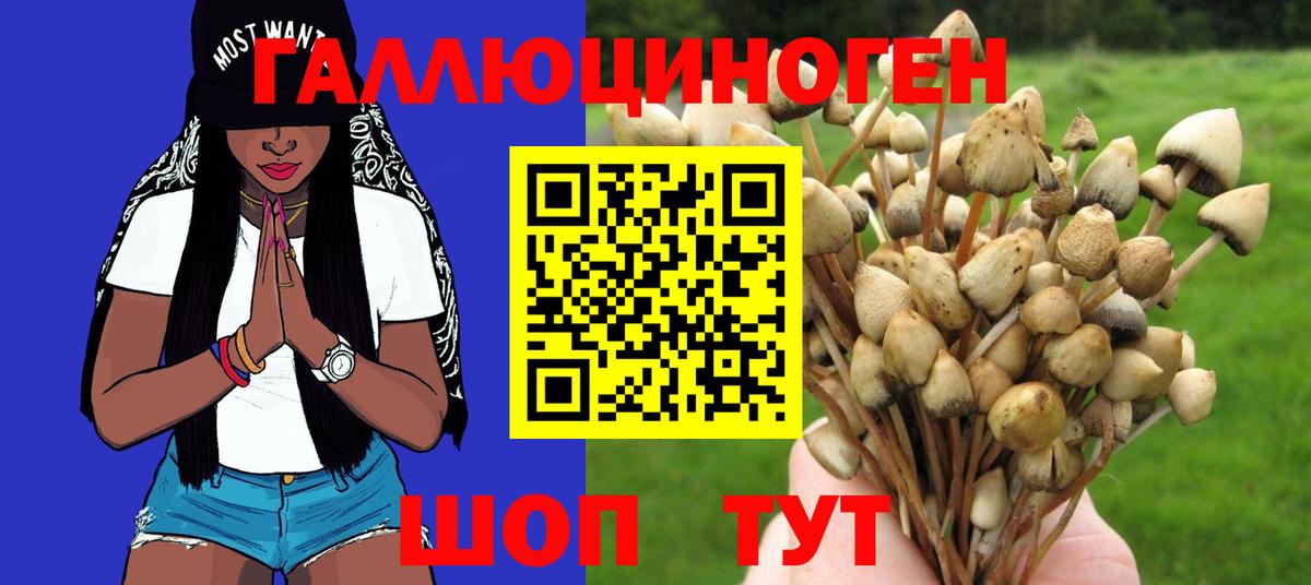 Псилоцибиновые грибы прущие грибы Борисоглебск